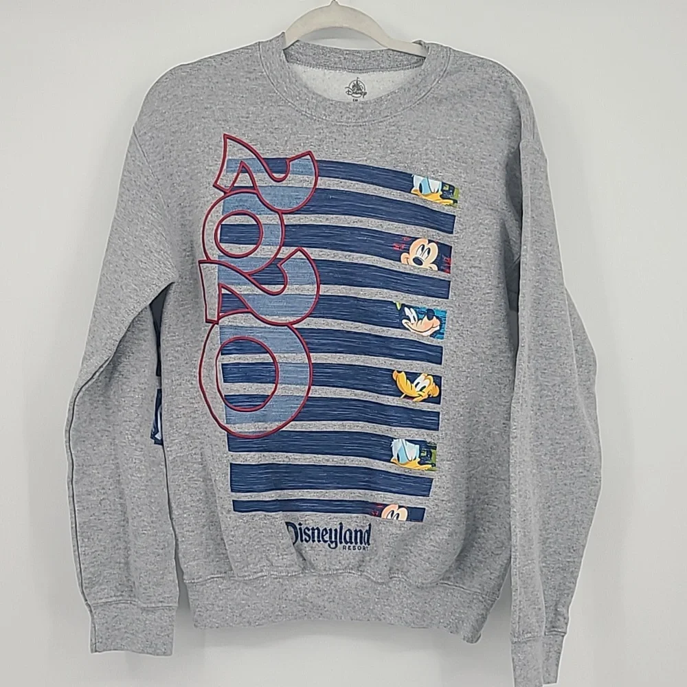 Disneyland resort 2020 crewneck sweatshirt gray small unisex - Picture 1 of 8